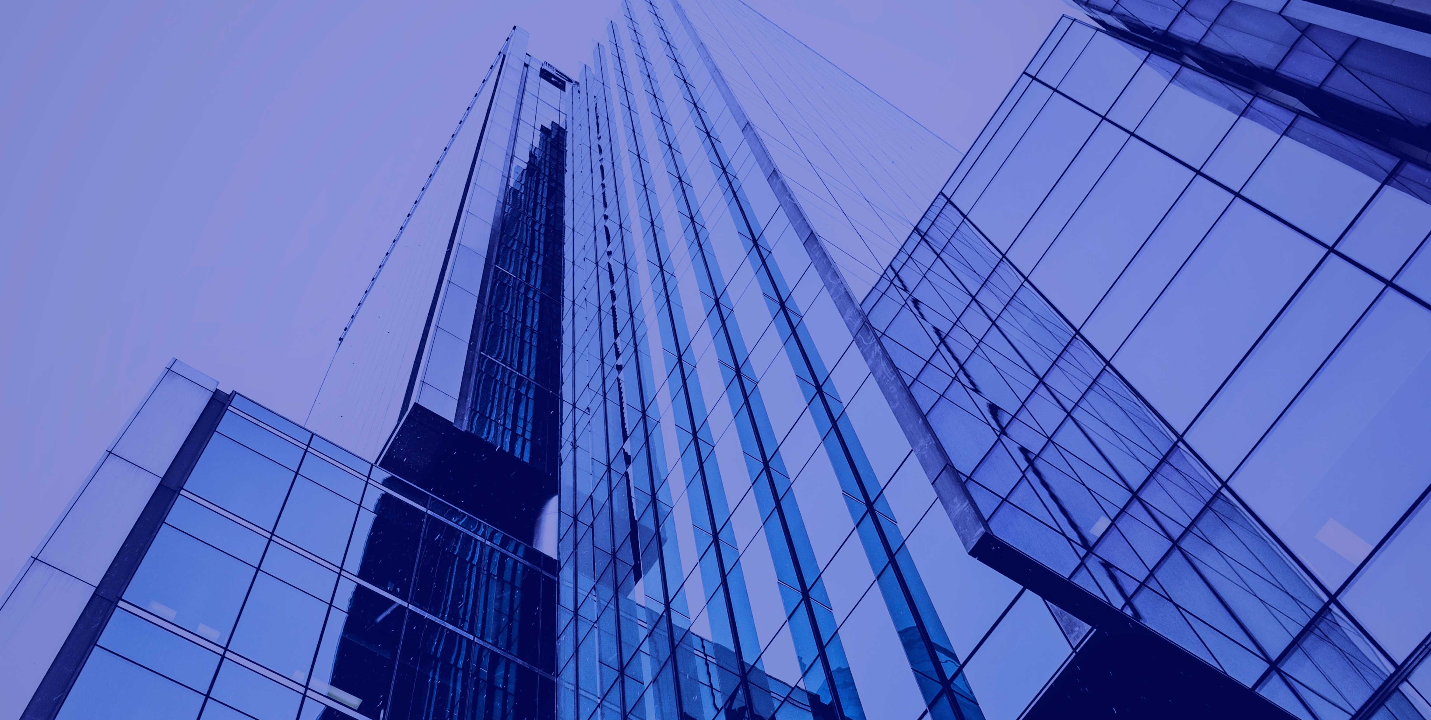 Business Development Consultancy Services