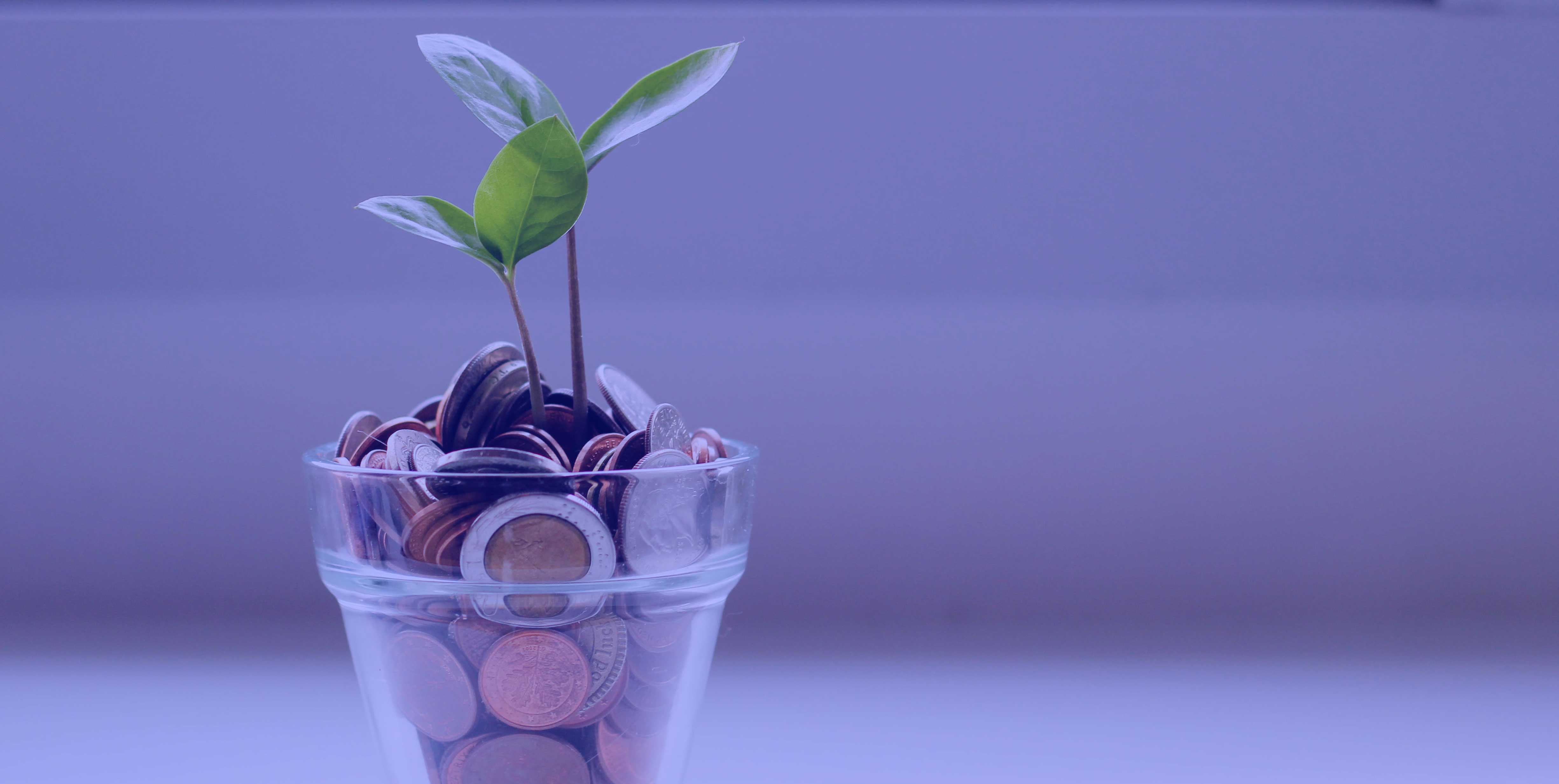 Wealth Creation, Protection and Sustainability